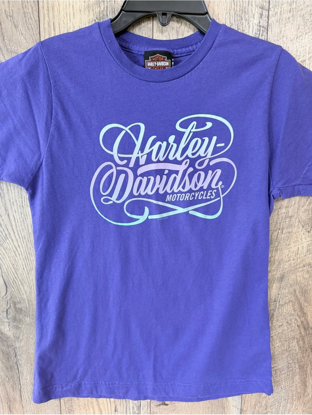 Harley-Davidson Purple Tee with Light Blue Script Logo